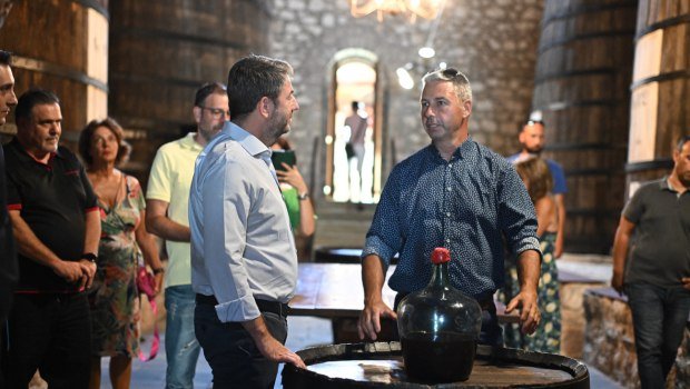 Ανδρουλάκης:-Το-σκάνδαλο-του-ΟΠΕΚΕΠΕ-δείχνει-την-αποτυχία-της-ΝΔ να-ενισχύσει-τον-πρωτογενή-τομέα