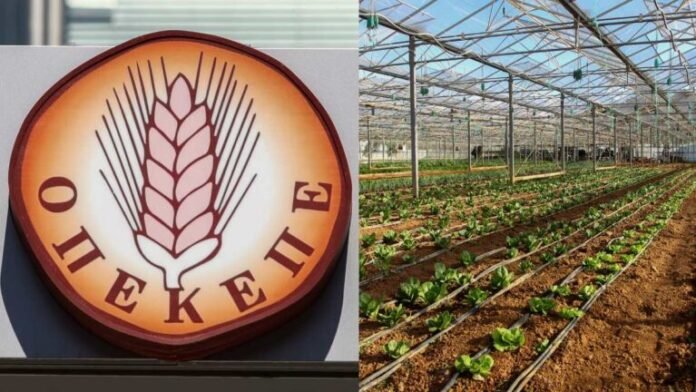 Εξεταστική-για-ΟΠΕΚΕΠΕ:-Κριτική-από-το-ΠΑΣΟΚ-στην-πρώην-Αντιπρόεδρο-του-Οργανισμού-Άννα-Μαρία-Γιαντσή