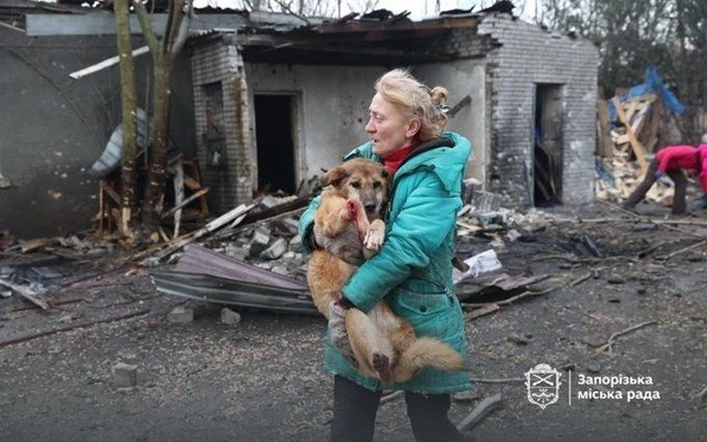 Ουκρανία:-Ρωσικό-drone-έπληξε-καταφύγιο-ζώων,-περίπου-10-είναι-νεκρά