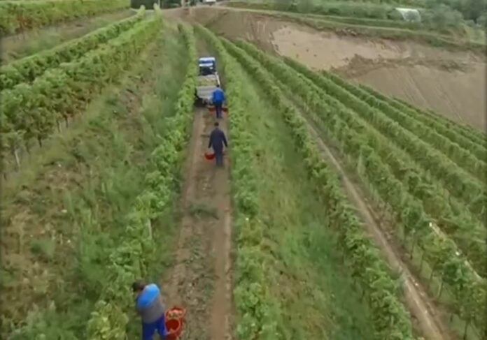 ΣΥΡΙΖΑ-για-mercosur:-Να-πάρει-θέση-ο-πρωθυπουργός-για-το-τι-θα-κάνει-με-τους-αγρότες-στην-Ελλάδα