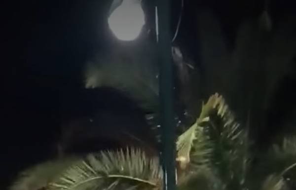 ΚΚΕ:-«να-καταδικάσει-ο-Δήμος-το-ότι-ακούστηκαν-από-τα-δημοτικά-μεγάφωνα-πατριωτικά-τραγούδια-την-21η-Απριλίου»