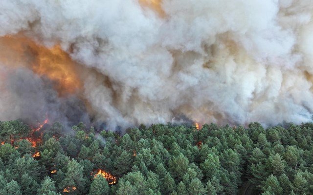 Βέλγιο:-Μεγάλη-πυρκαγιά-έκαψε-30.000-στρέμματα-και-κατευθύνεται-προς-την-Γερμανία