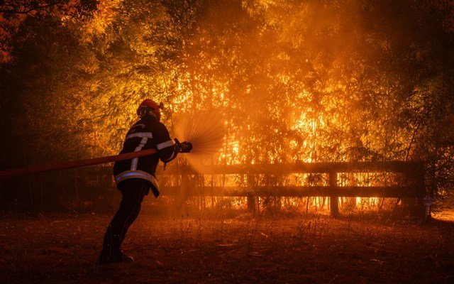 Βέλγιο:-Η-μεγαλύτερη-στην-ιστορία-της-χώρας-δασική-πυρκαγιά-πλησιάζει-τα-γερμανικά-σύνορα