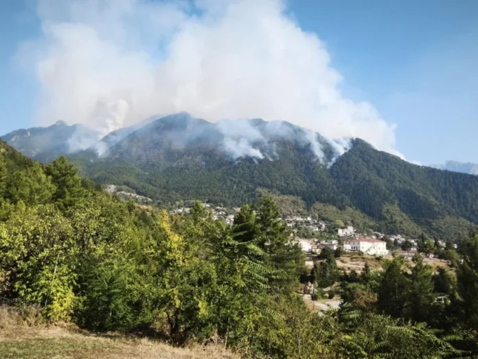 ΚΚΕ:-Σκληρή-κριτική-στην-κυβέρνηση-για-την-πυρκαγιά-στην-Τραπεζίτσα